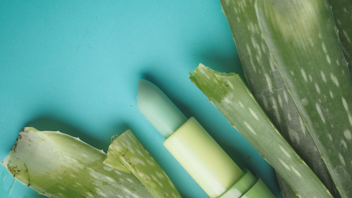 Ein Aloe Lippenbalsam neben frischen Aloe Vera Blättern auf einem blauen Hintergrund.