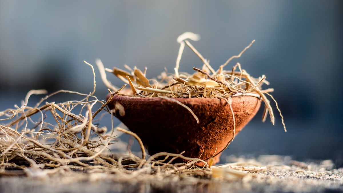 Ein Tontopf mit getrocknetem Vetivergras, das für Aromatherapie verwendet wird.