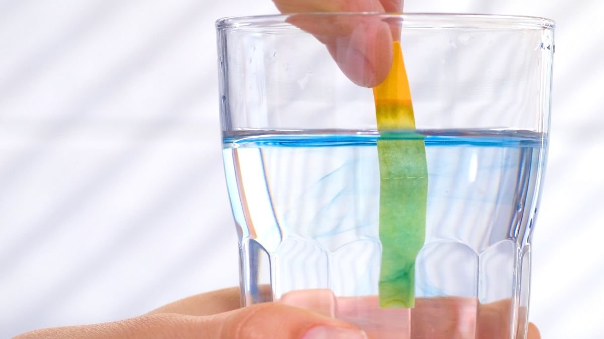 Eine Hand taucht einen pH-Teststreifen in ein Glas mit basischem Wasser.