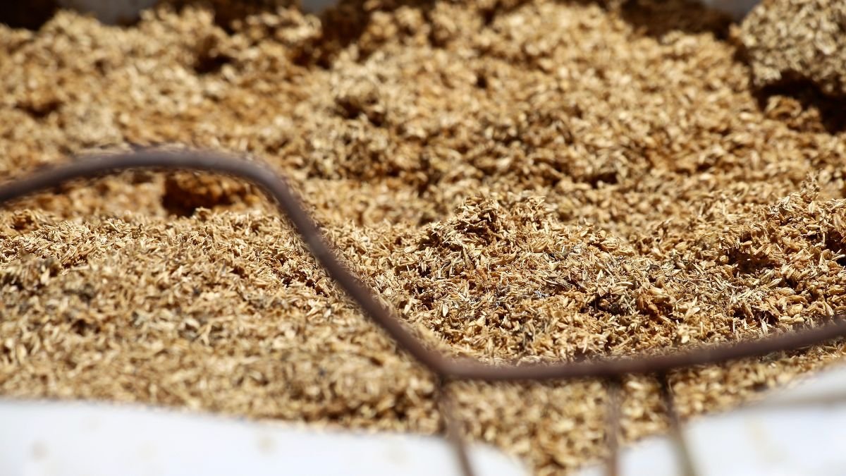 Eine Nahaufnahme von getrockneten Pflanzenmaterialien, die als Nebenprodukt in der Industrie entstehen.