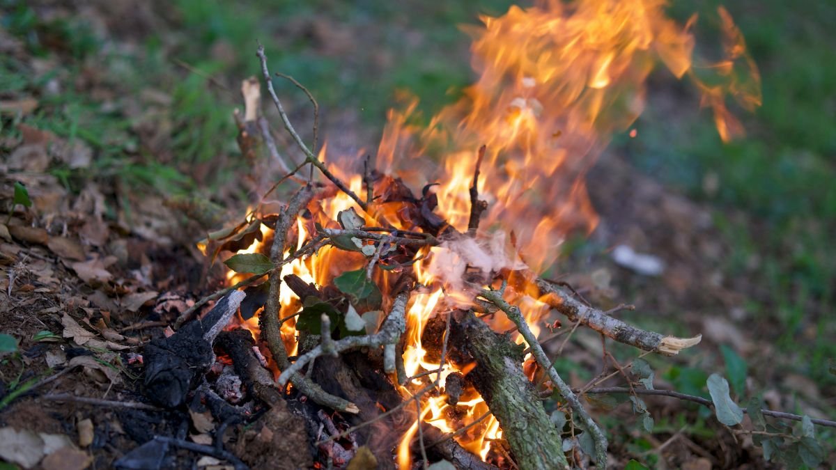 Ein Feuer brennt mit Ästen und Blättern, umgeben von Erde und Gras.