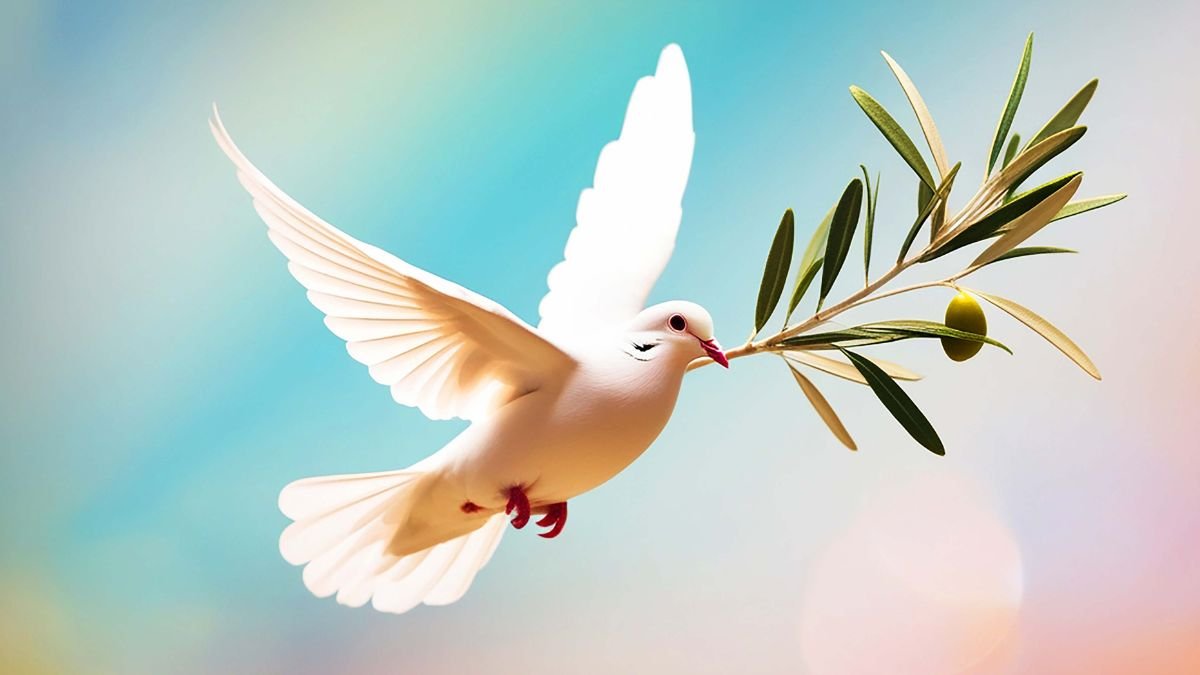 Eine weiße Taube fliegt mit einem Olivenzweig im Schnabel durch den Himmel.
