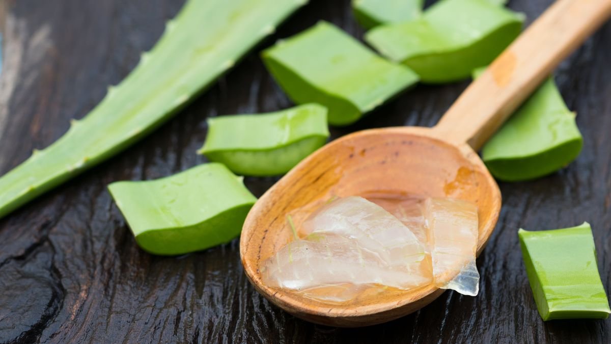 Frische Aloe Vera Blätter und Gel in einem Holzlöffel auf einem Tisch.