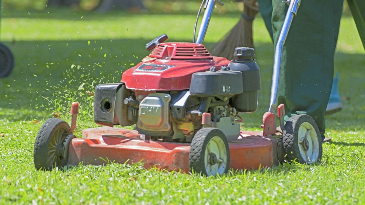 Ein Rasenmäher schneidet frisches Gras in einem gepflegten Garten.