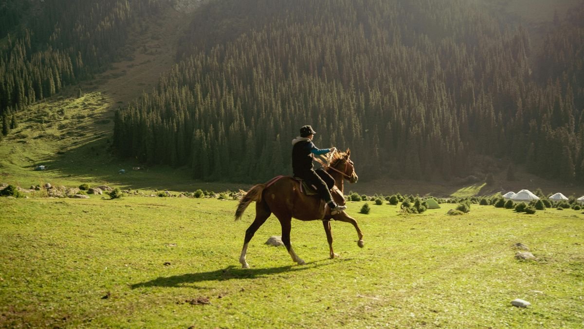 Ein Reiter auf einem Pferd galoppiert durch eine grüne Wiese in den Bergen.