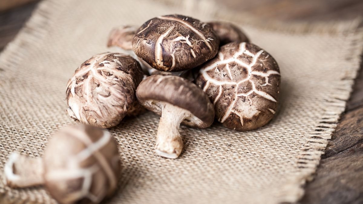 Eine Gruppe frischer Shiitake-Pilze auf einem rustikalen Tuch.